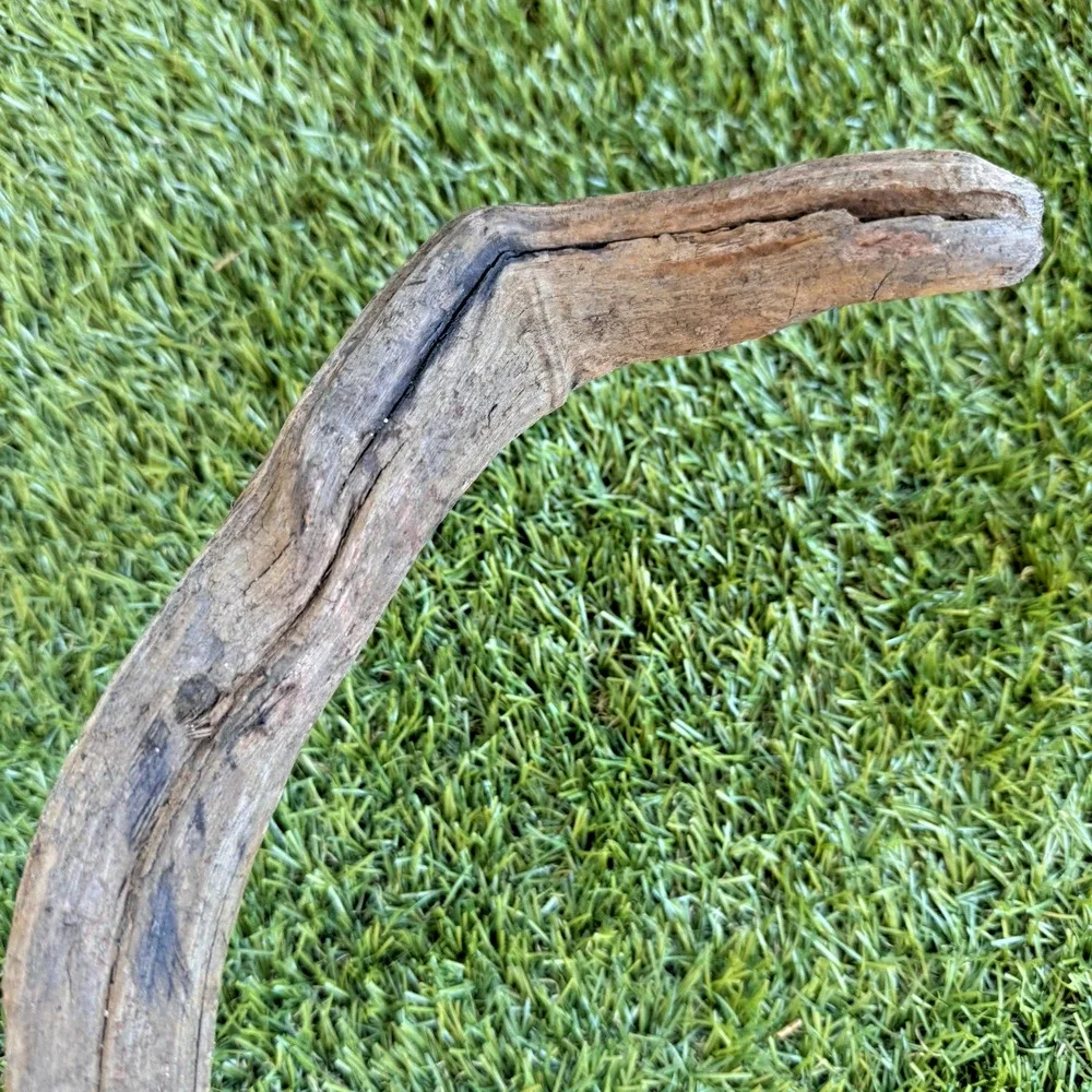 2 Natural Driftwood Branches California Coast Rustic Decor Aquarium Terrarium